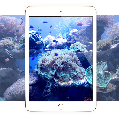  9.7英寸iPad Pro平板膜，高清钢化玻璃膜 