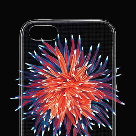  iPhone 5s/SE 手机保护壳，ESR初色零感系列 