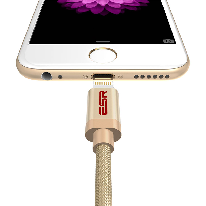  12.9英寸iPad Pro,苹果MFI认证lightning接口数据线 